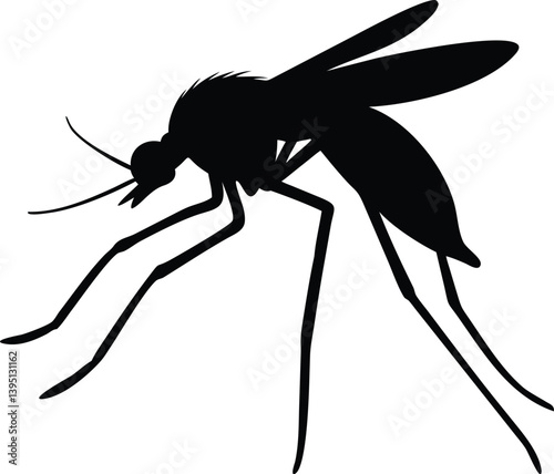 Mosquito Silhouette | Detailed Insect Anatomy Vector Art for Entomology