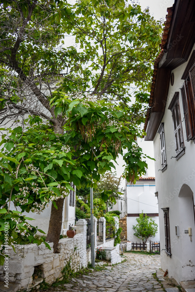 Obraz premium old street in the old town, turkey