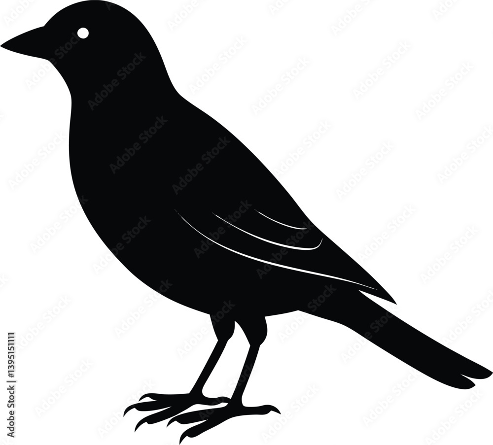 Fototapeta premium crow silhouette on white background.