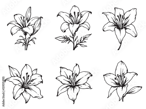 Lily line art explores floral symbolism through minimalist artistic expression 