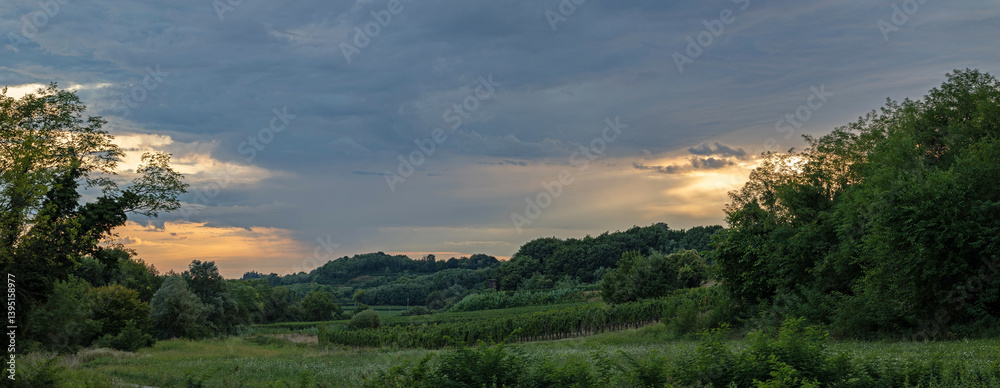 ambiente naturale collinare verde di campagna tra i campi e i boschi vicino a Gorizia, nell'Italia nord-orientale, al tramonto, in estate, con cielo nuvoloso