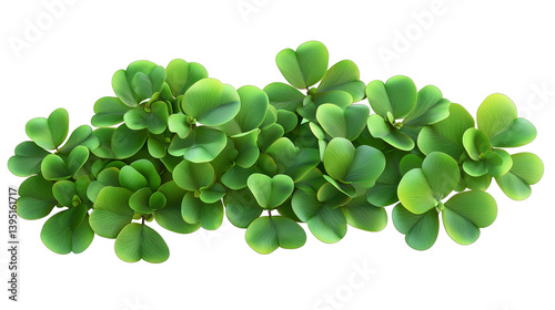 Fresh green shamrock clover leaves for st patricks day luck  isolated on transparent  background png
