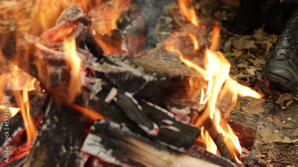 Burning wood, Ember firelight, Fire embers. Close-up captures roaring campfire with burning wood and glowing embers, providing warmth and light in outdoor setting. Burning wood, Ember firelight, Fire embers. Close-up captures roaring campfire with burning wood and glowing embers, providing warmth and light in outdoor setting.