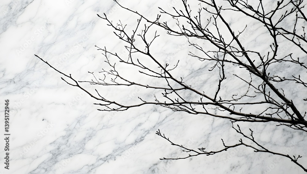 Bare tree branches against a marble-like textured background minimal and stark. Bare tree branches against a marble-like textured background minimal and stark.