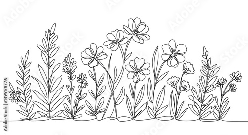 Botanical Line Art Illustration of Plants and Flowers