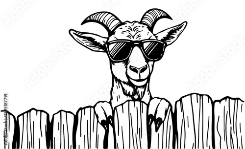 cool goat wearing sunglasses and peeking over a wooden fence sketch