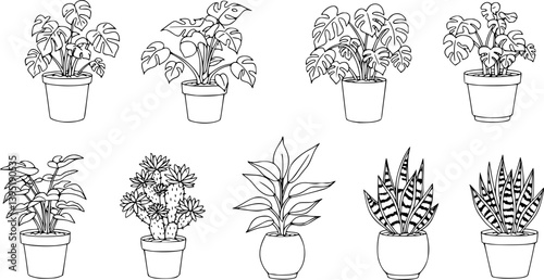 Houseplants. Vector set of outline drawings plants, succulents in pot. Indoor exotic flowers with stems and leaves. Monstera, Ficus, pathos, yucca, dracaena, cacti, snake plant for home and interior