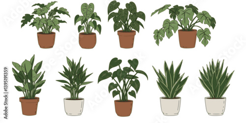 Houseplants. Vector set of house decor with plants, succulents in pot. Indoor exotic flowers with stems and leaves. Monstera, Ficus, pathos, yucca, dracaena, cacti, snake plant for home and interior