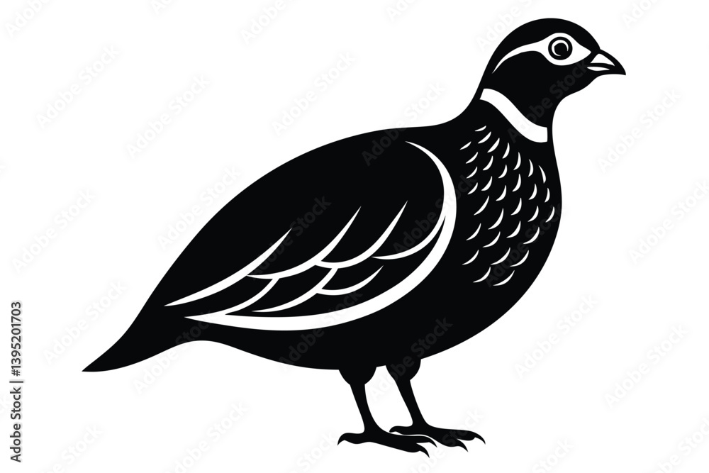 Obraz premium Silhouette of a Black Quail Isolated on White Background, Bird Standing Side View