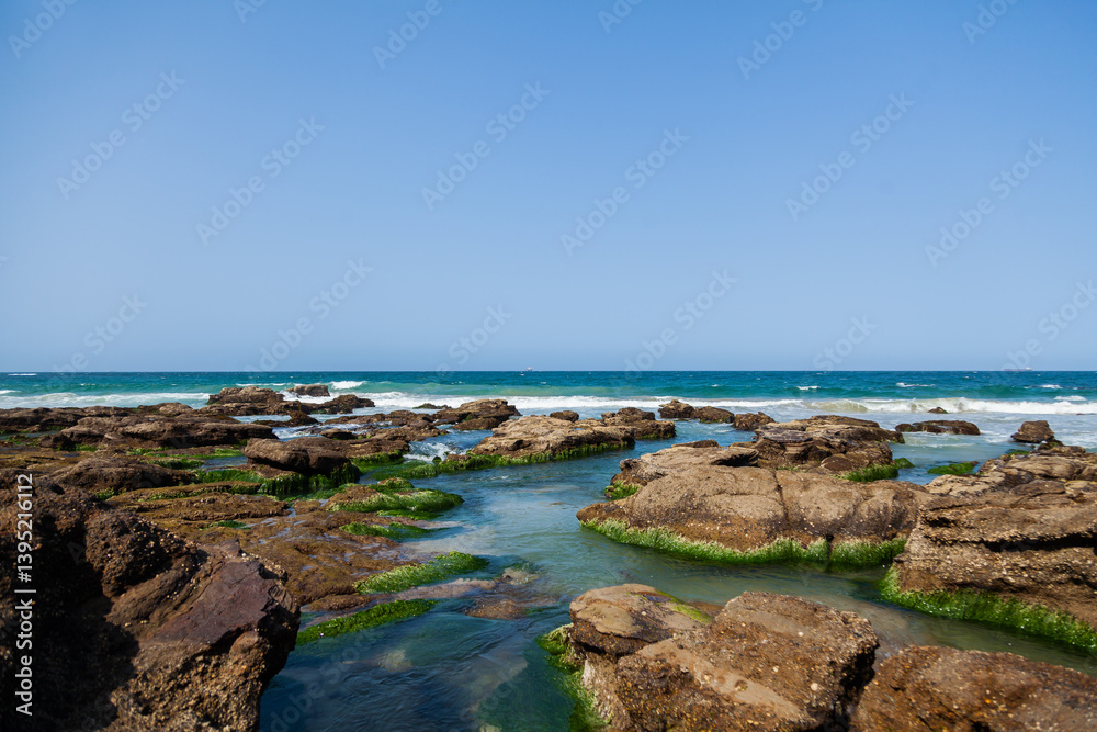 Rocks covered in green seaweed beside the ocean Rocks covered in green seaweed beside the ocean