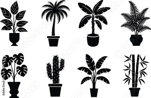 Indoor Potted Plant Silhouettes Set for Botanical Graphic Design