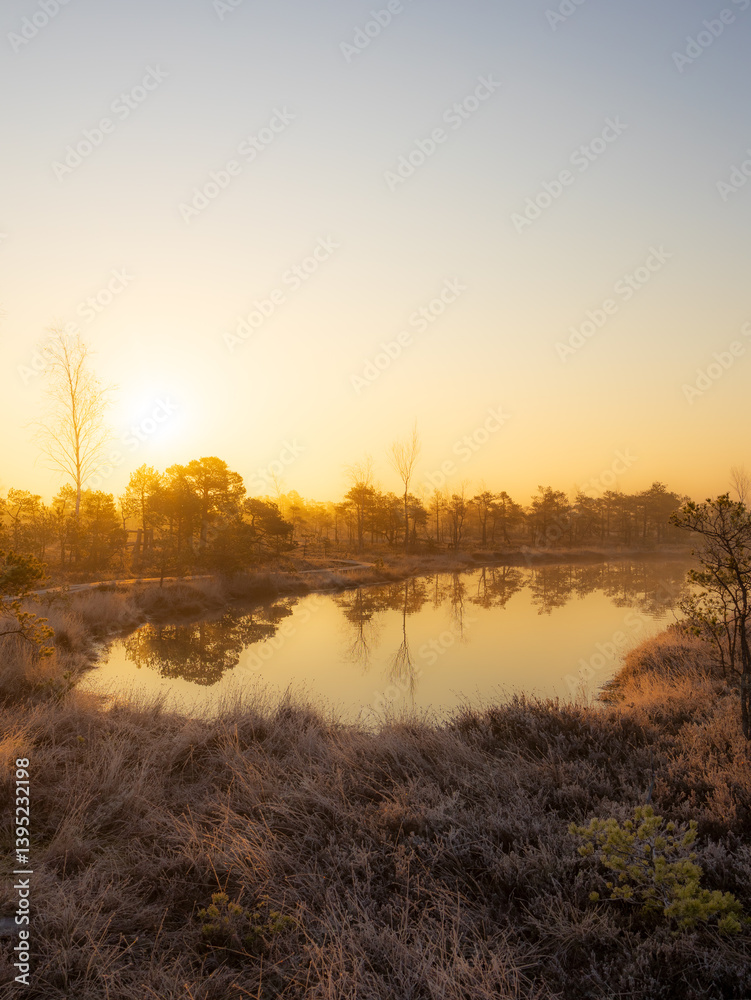 Obraz premium Sunrise, Misty morning, Foggy landscape, Swamp, Marshland, Wetlands, Nature, Golden hour, Moody, Atmospheric, Ethereal, Tranquil, Serene, Reflection, Water, Stillness, Dawn, Early morning, Sunlight