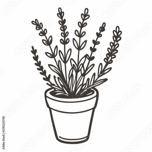 Hand Drawn Potted Lavender Plant  Illustration
