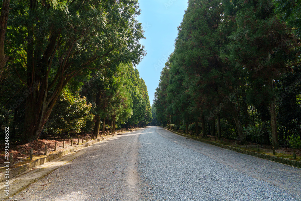 杉並木に囲まれた静かな参道の風景
Peaceful Pathway Surrounded by Cedar Trees in Japan 杉並木に囲まれた静かな参道の風景
Peaceful Pathway Surrounded by Cedar Trees in Japan