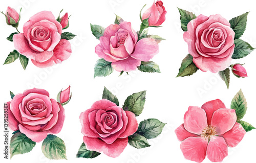 Hand-Painted Pink Rose – Watercolor Floral Clipart for Crafts