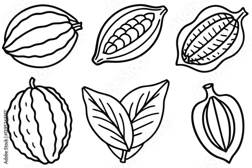 Cacao fruit line art detailed drawing of pod