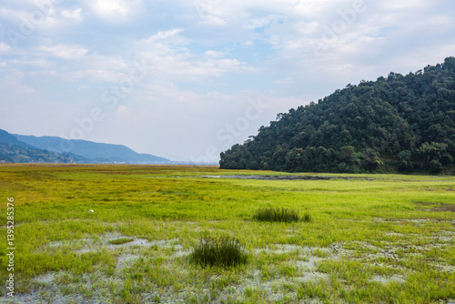 The marshy part of Phewa Lake in Pokhara, Nepal.