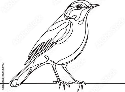 Detailed Line Drawing of Thrush Bird Art