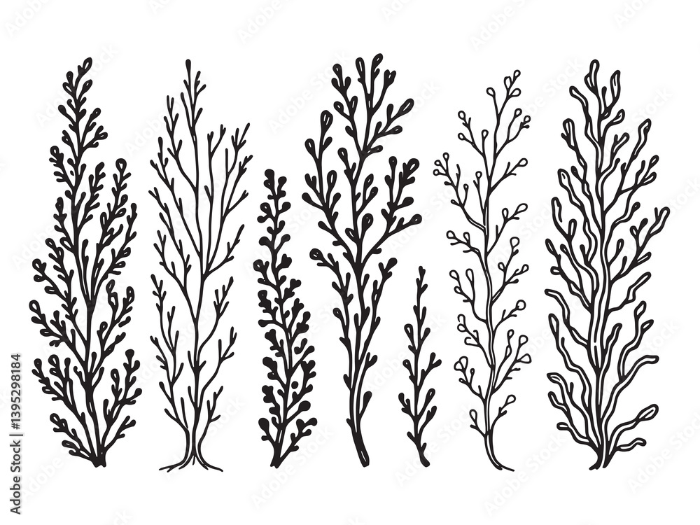 Naklejka premium Kelp line art underwater plant drawing healthy nutrition green sketch 