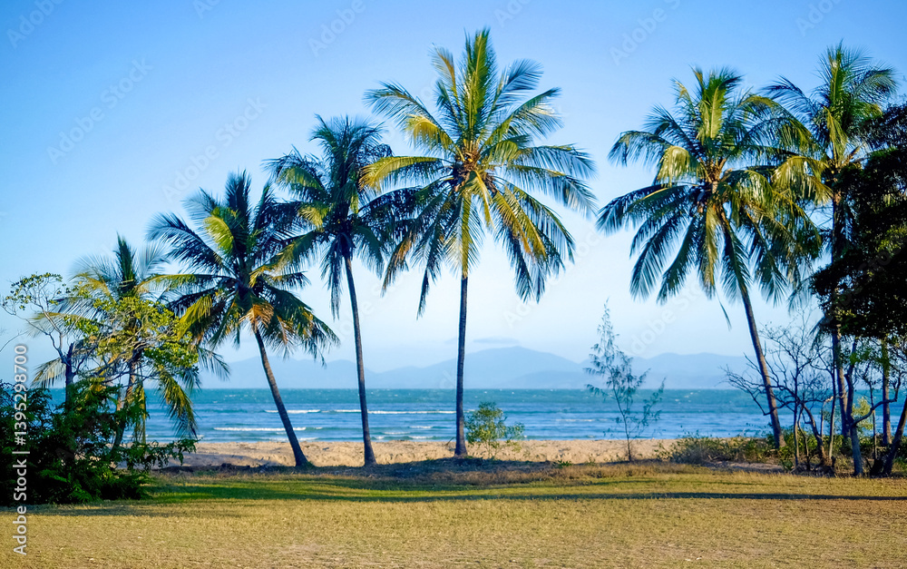 coconut trees by the beach with some mountain ranges on the horizon coconut trees by the beach with some mountain ranges on the horizon