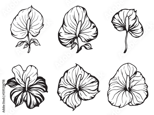 Anthurium line art graceful minimalist floral drawing for art collectors 