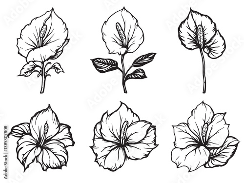 Anthurium line art graceful minimalist floral drawing for art collectors