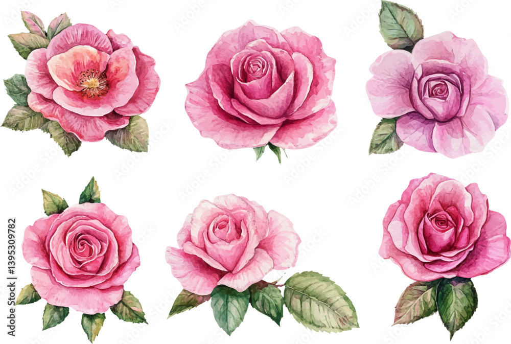 Naklejka premium Watercolor Pink Rose Petals
