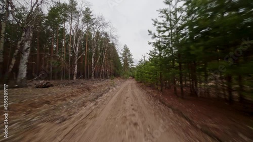 Dynamic flight along a forest road. Forest landscape. Fast flight along a forest path on a drone. Spring forest landscape. Pine forest.