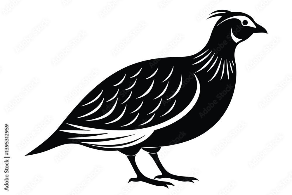 Obraz premium Standing Quail Illustration, Bird Silhouette with Crest and Detailed Feathers