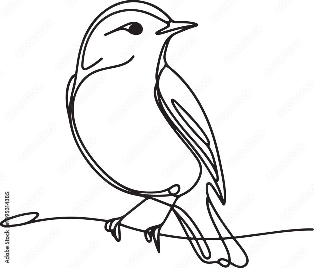 Obraz premium Elegant Warbler Bird Line Drawing Vector
