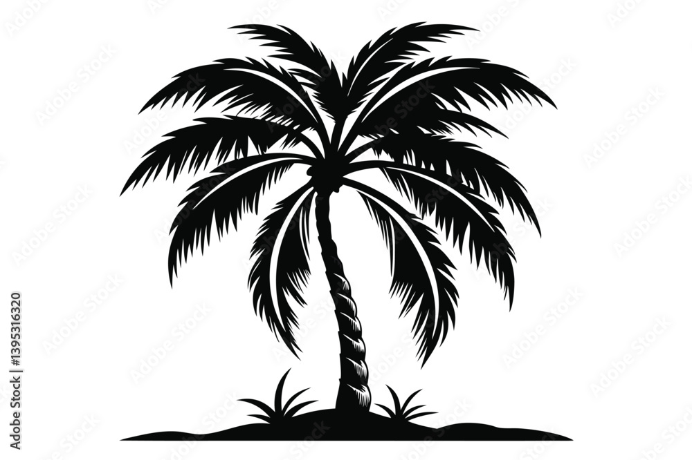 Fototapeta premium Silhouette of a Detailed Palm Tree with Fronds and a Textured Trunk on Soil