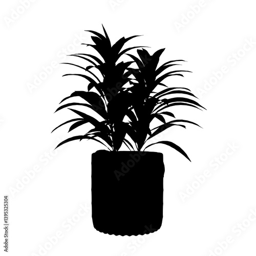 silhouette of a Plant