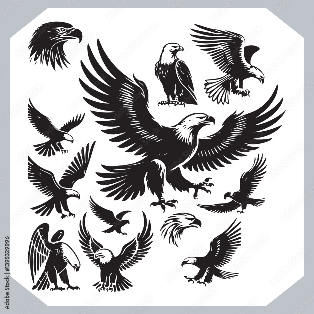 Eagle Vector Illustration Set with Detailed Black and White Designs