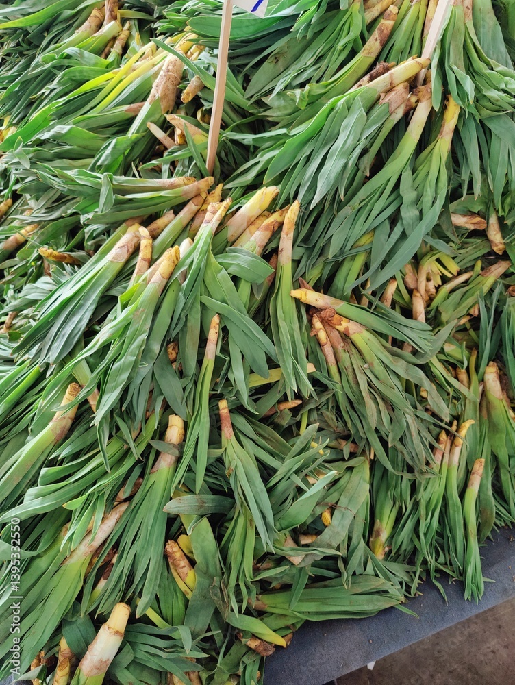 Obraz premium A tangled heap of green leeks, their roots exposed, symbolizing nature’s resilience and the raw, interconnected beauty of growth amidst chaos in a vibrant, earthy pile.