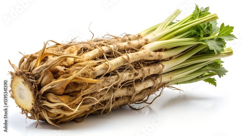 Fresh Chicory Root with Earthy Brown Skin and Detailed Texture Isolated on White Background

