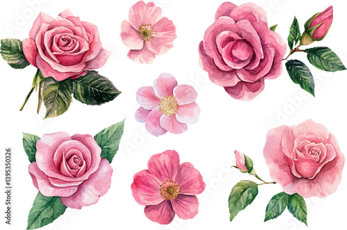 Watercolor Pink Rose Blossom