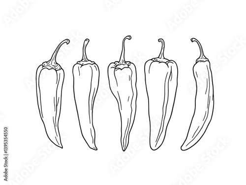 Chili Pepper line art spicy vegetable illustration with bold flair