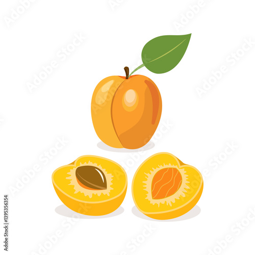 Ripe apricots isolated on white background.Vector illustration.