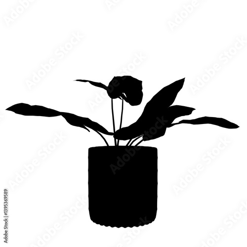 silhouette of a Plant