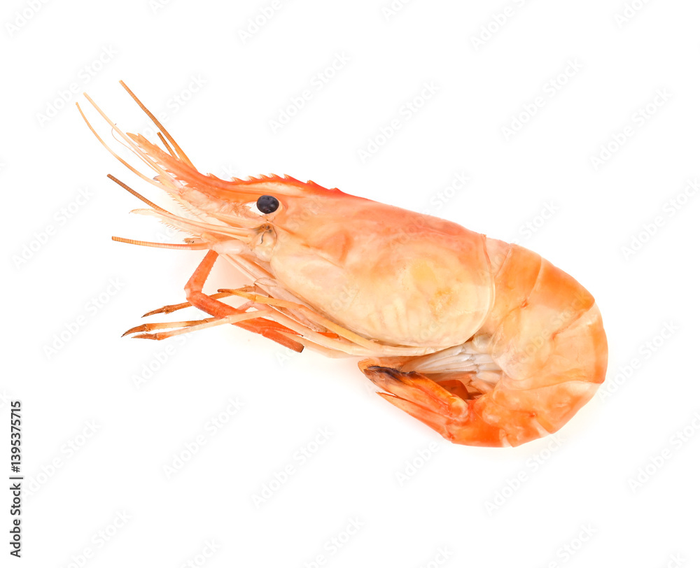 grill shrimp isolated on white background grill shrimp isolated on white background