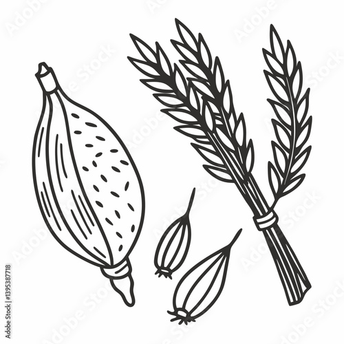 Hand Drawn Barley and Cardamom Illustration for Organic and Culinary Designs