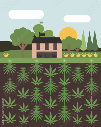 Marijuana farm outdoors. Hemp plants and house under the earth.