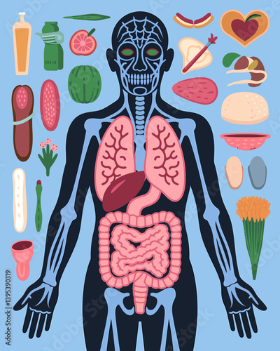 Human Anatomy Visualization: Organs, Bones, and Healthy Food Choices Illustration