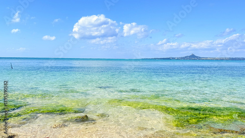 沖縄の海