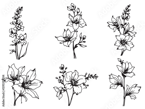 Delphinium Line Art Detailed Artistic Depictions of Beautiful Flower Blooms 
