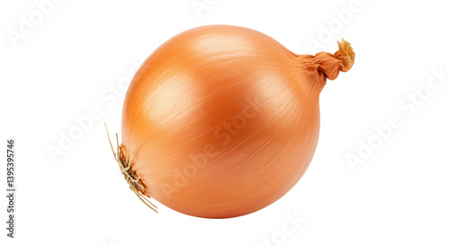 Wallpaper Mural Isolated Single Brown Onion Torontodigital.ca