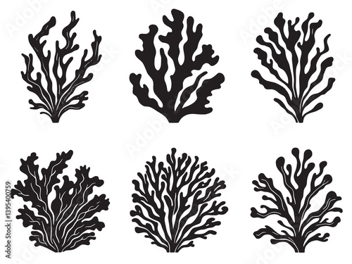 Dulse Seaweed line art benefits for health and wellness 