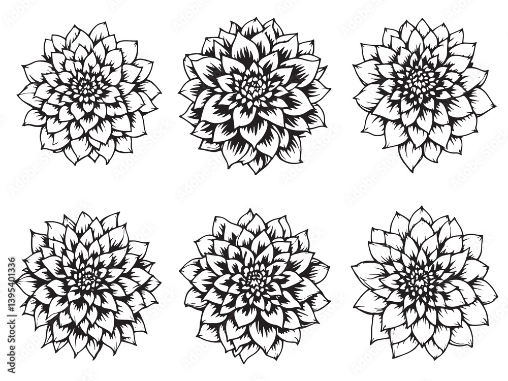 Obraz premium Dahlia line art blooms in bold black strokes 