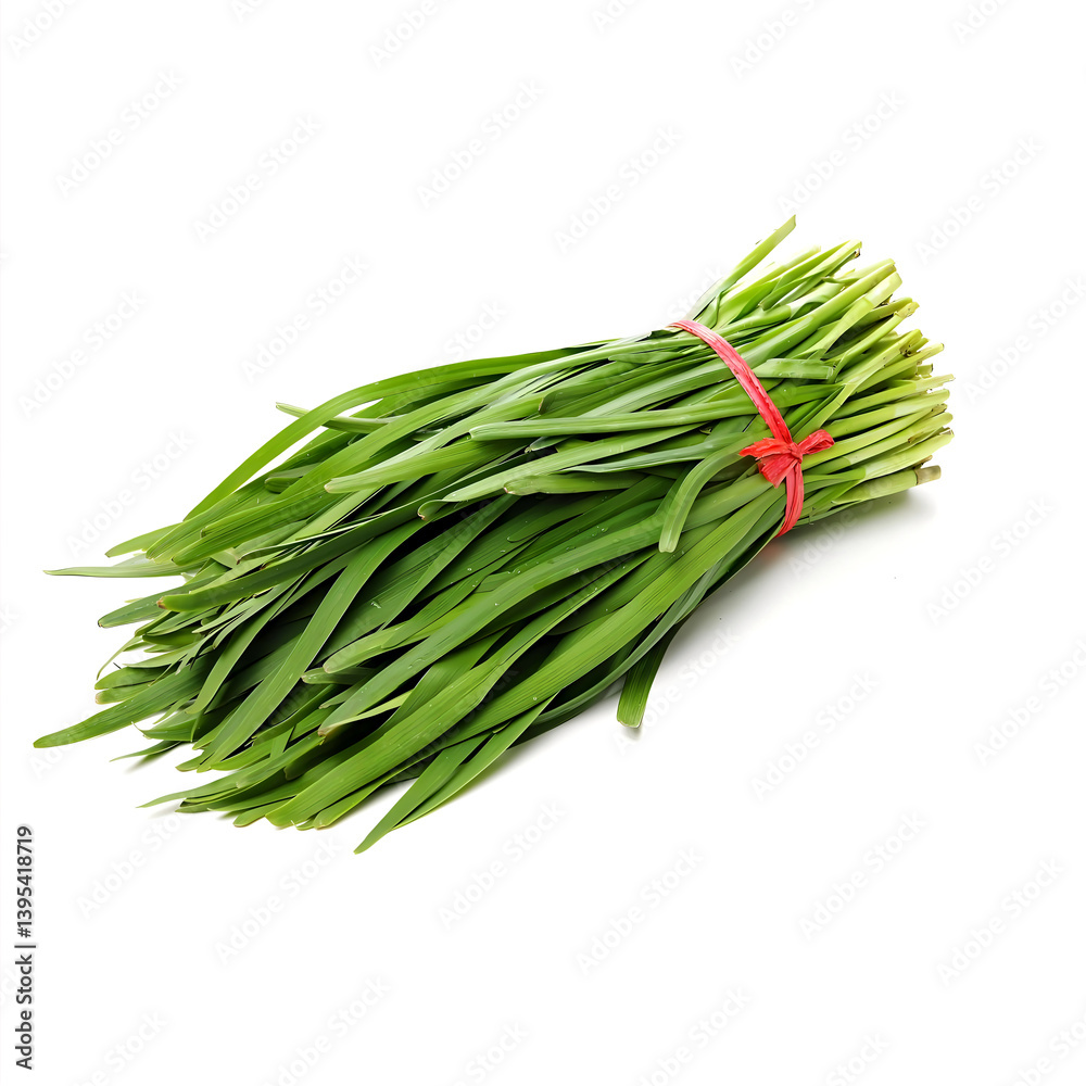 bunch of rosemary bunch of rosemary