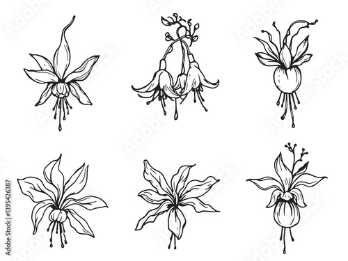 Fuchsia Line Art Inspired by Elegant Floral Designs and Shapes 